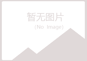 青岛黄岛从安电讯有限公司